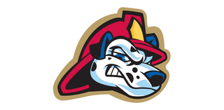 July 1, 2023 Peoria Chiefs AAGPBL Night